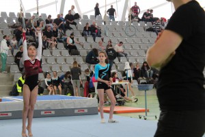 IMG_0184