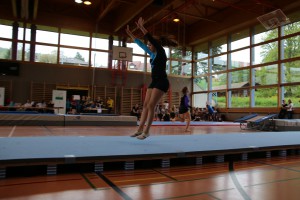 IMG_1137  