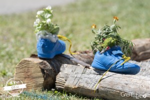 180627-Decorations-006