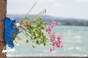 180627-Decorations-007