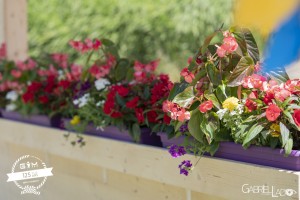 180627-Decorations-018