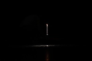 DSC_6486