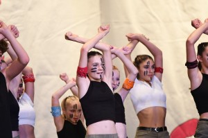 DSC_8627